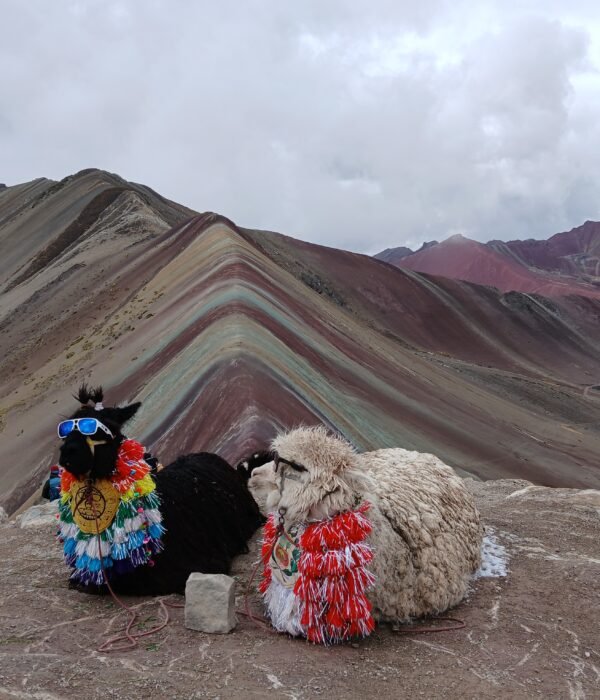 andes hike at Rainbow Mountain Peru