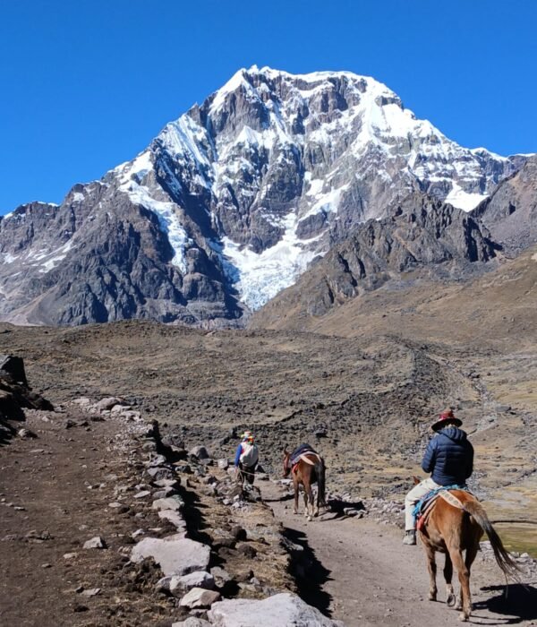 Andes Hike with alpacas in the Peruvian Andes