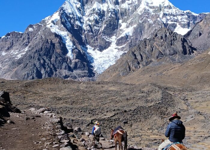Andes Hike with alpacas in the Peruvian Andes