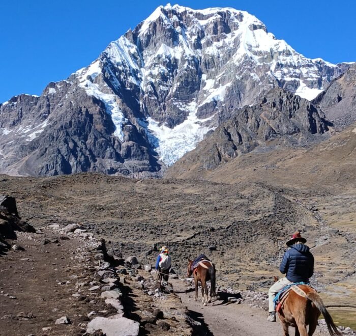 Andes Hike with alpacas in the Peruvian Andes
