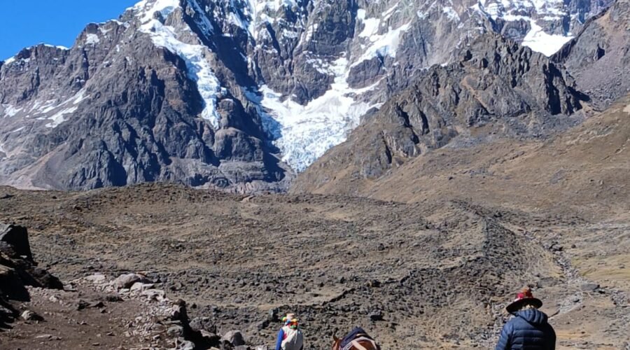 Andes Hike with alpacas in the Peruvian Andes